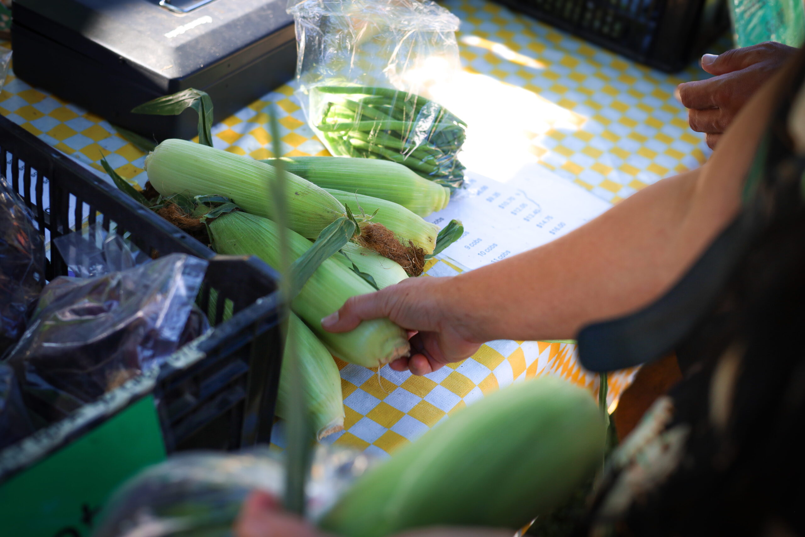 Local events and community life near DriftLine in Esquimalt